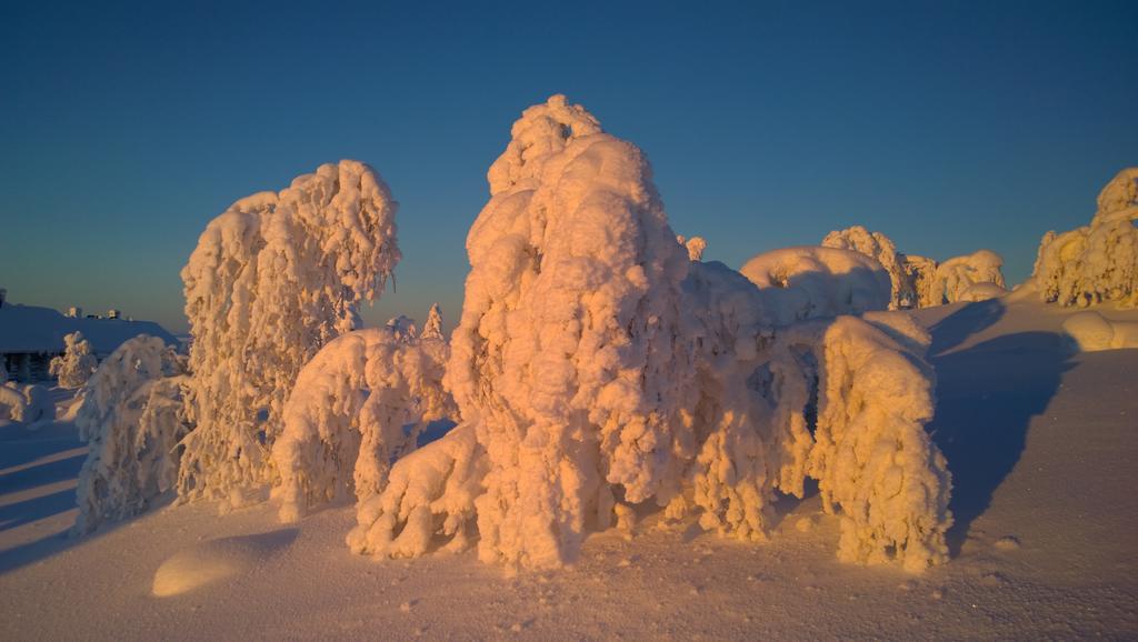 Kelotaehti Apartments Saariselkä Rum bild