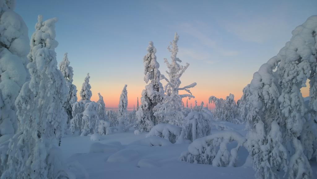 Kelotaehti Apartments Saariselkä Rum bild