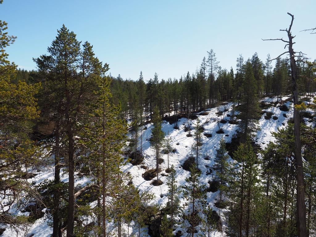 Kelotaehti Apartments Saariselkä Exteriör bild